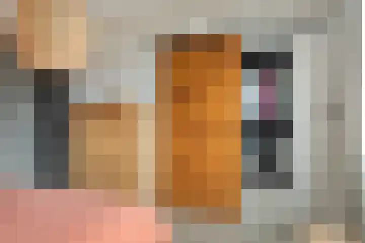 Hunze 100 Drachten thumbnail 4