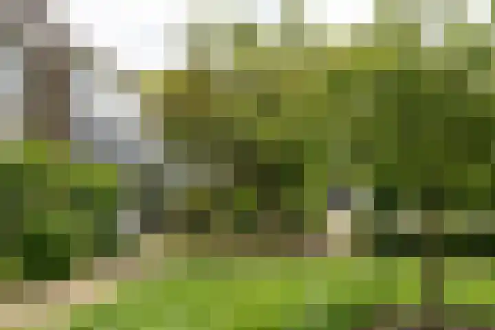 Hunze 100 Drachten thumbnail 5