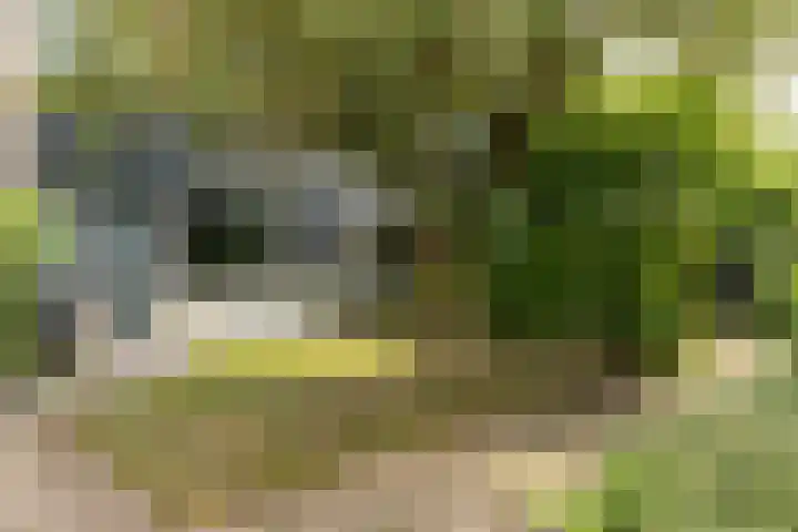 Hunze 100 Drachten thumbnail 6