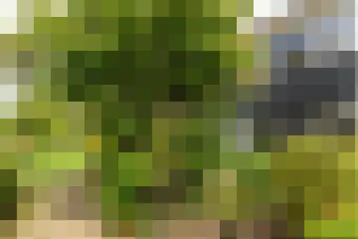 Hunze 100 Drachten thumbnail 7