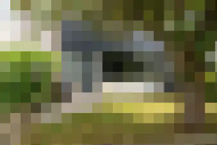 Hunze 100 Drachten thumbnail 8
