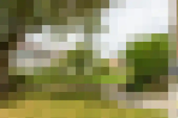 Hunze 100 Drachten thumbnail 9