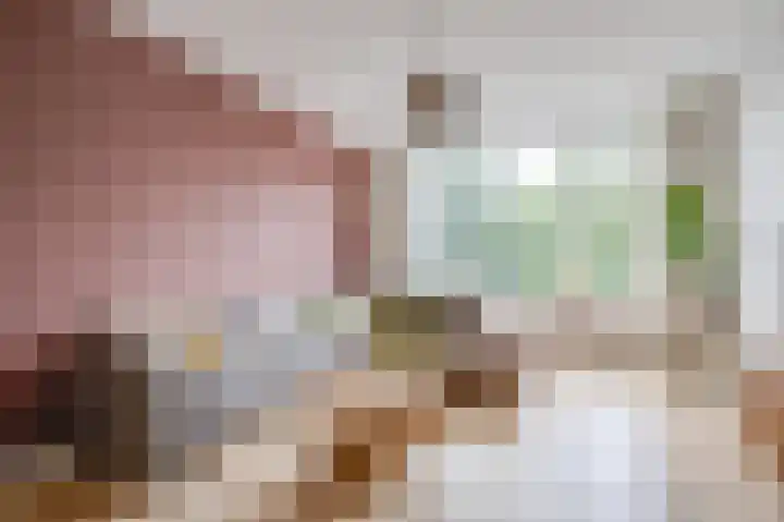 Hunze 12 Apeldoorn thumbnail 12