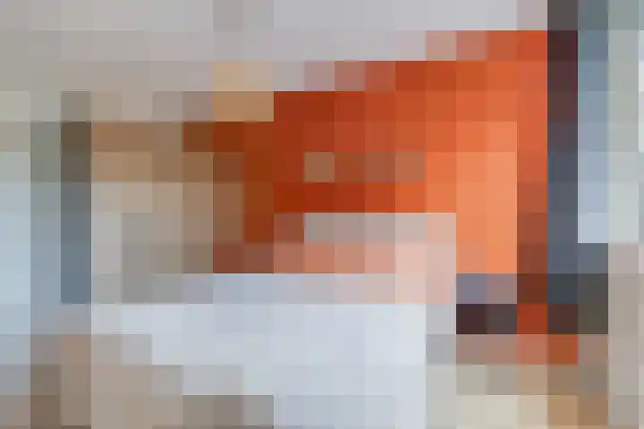Hunze 12 Apeldoorn thumbnail 20