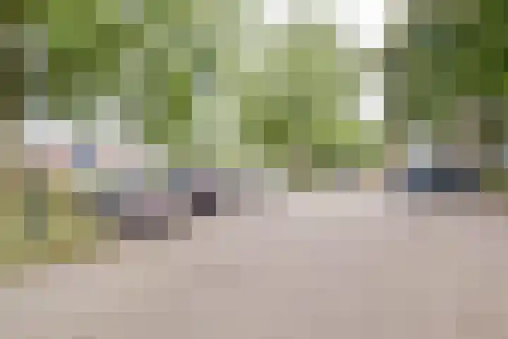 Hunze 12 Apeldoorn thumbnail 30