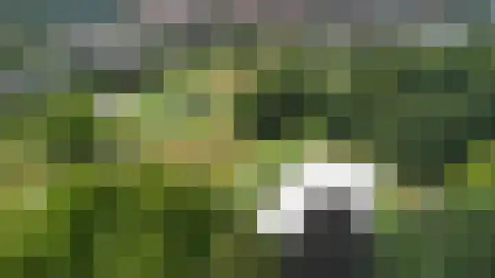 Hunze 12 Apeldoorn thumbnail 32