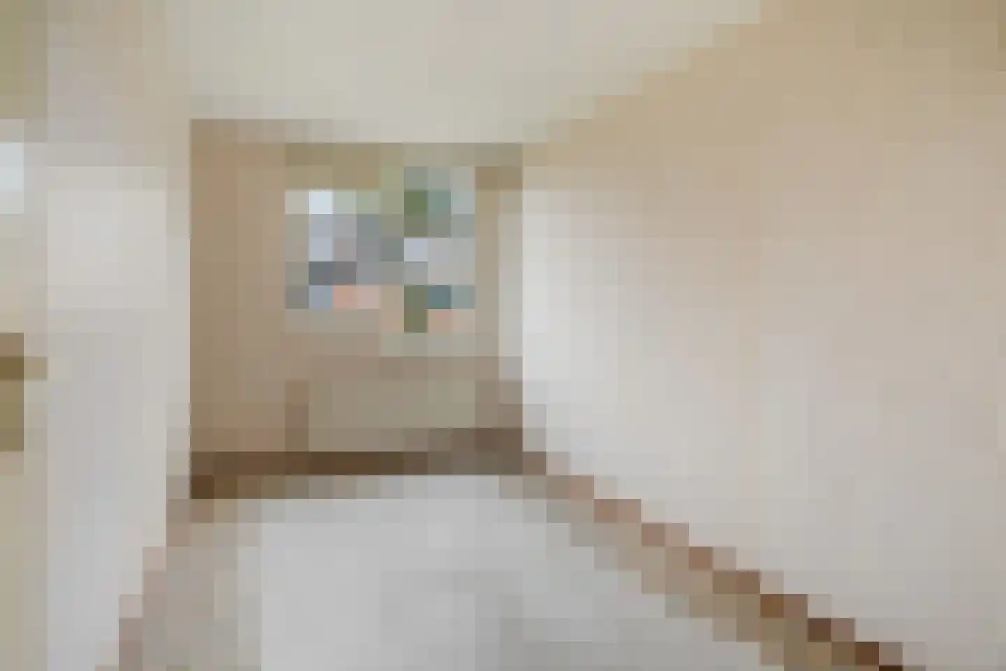 Hunze 13 Pijnacker thumbnail 12