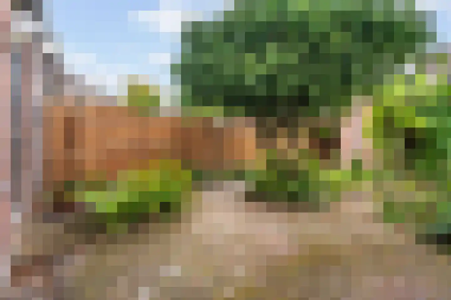 Hunze 13 Pijnacker thumbnail 18