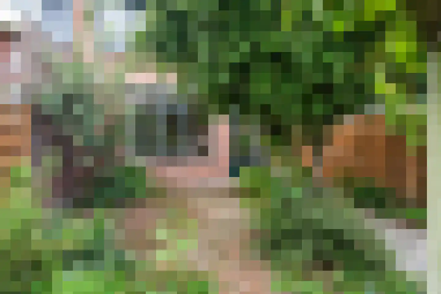 Hunze 13 Pijnacker thumbnail 19