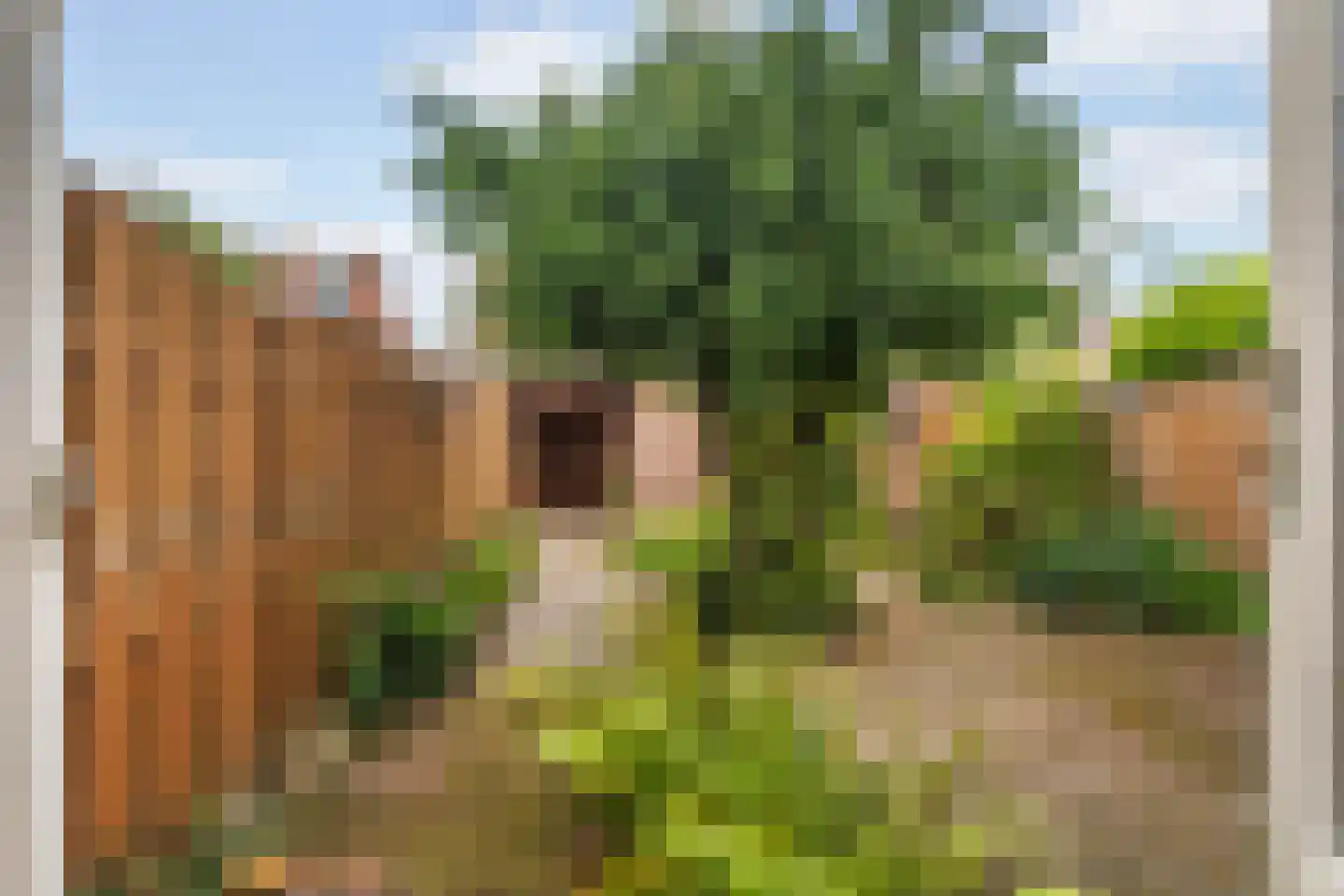 Hunze 13 Pijnacker thumbnail 4