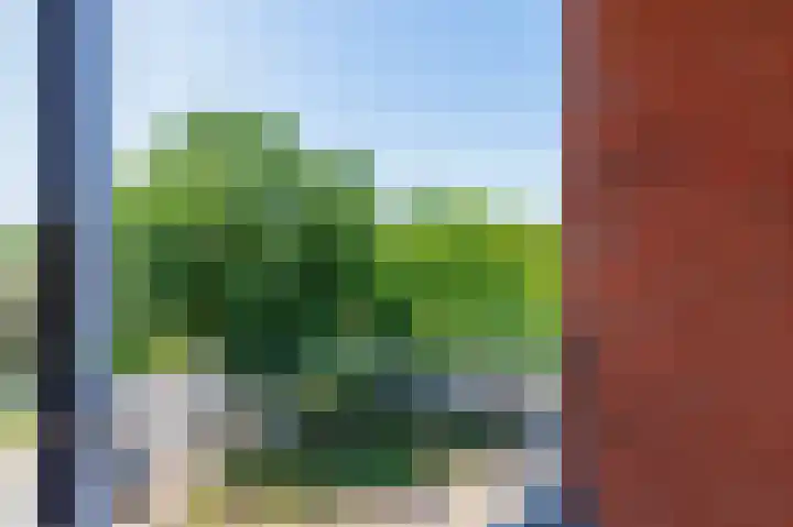 Hunze 14 Apeldoorn thumbnail 13
