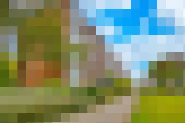 Hunze 14 Apeldoorn thumbnail 14