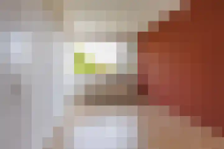 Hunze 14 Apeldoorn thumbnail 8