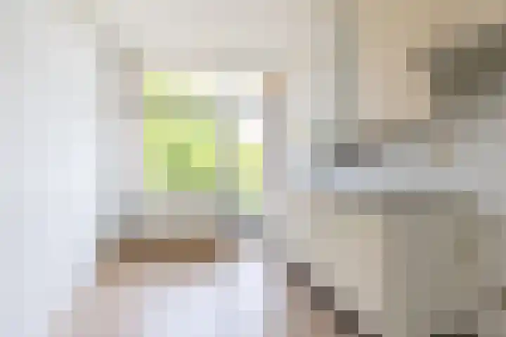 Hunze 14 Apeldoorn thumbnail 9