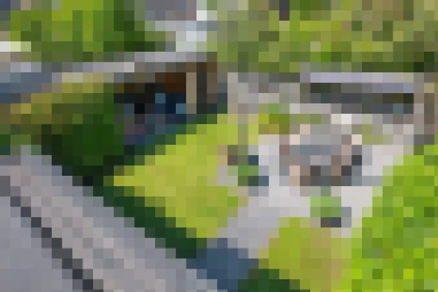 Hunze 17 Assen thumbnail 23
