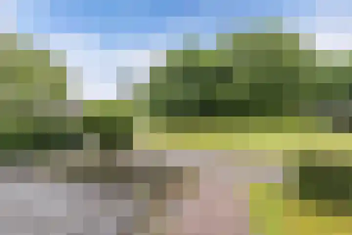 Hunze 171 Drachten thumbnail 30