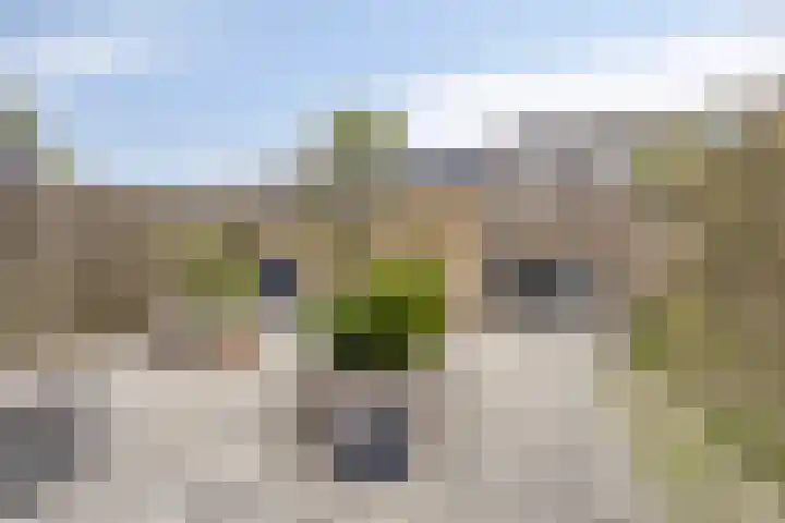 Hunze 195 Drachten thumbnail 22