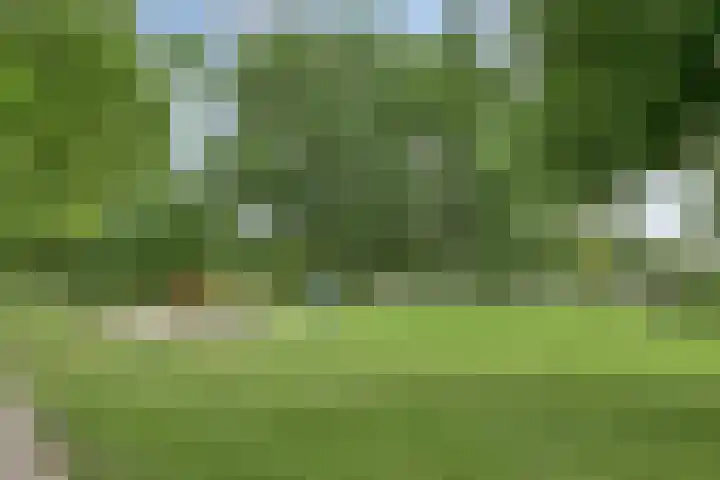 Hunze 195 Drachten thumbnail 26