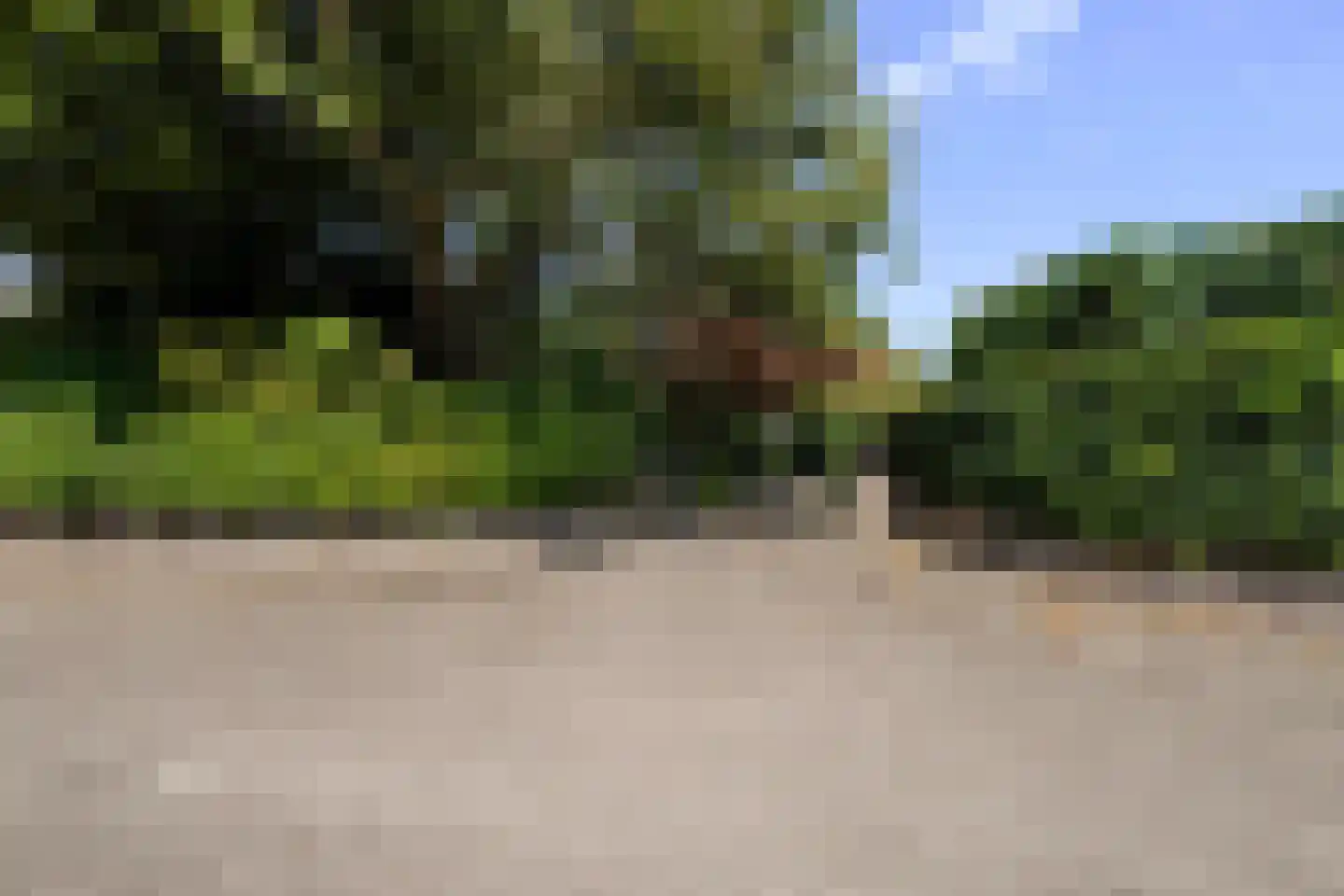 Hunze 2 Tilburg thumbnail 11