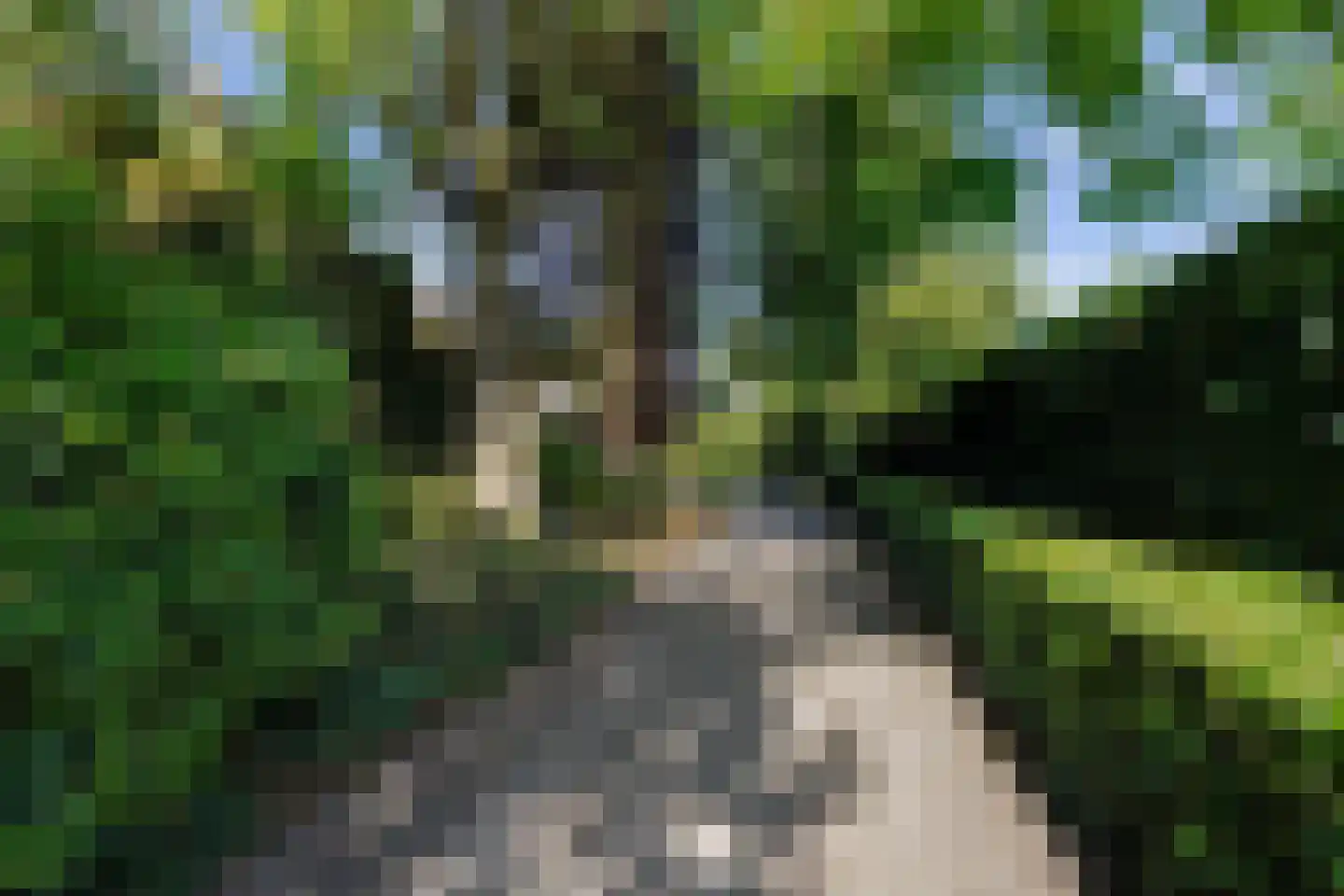 Hunze 2 Tilburg thumbnail 13