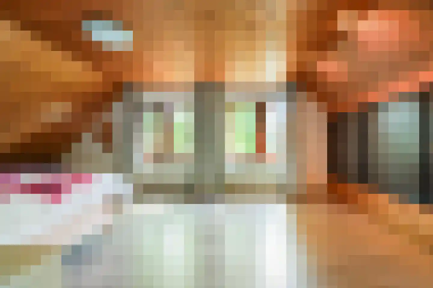 Hunze 2 Tilburg thumbnail 31