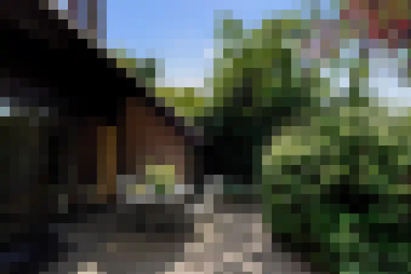 Hunze 2 Tilburg thumbnail 46