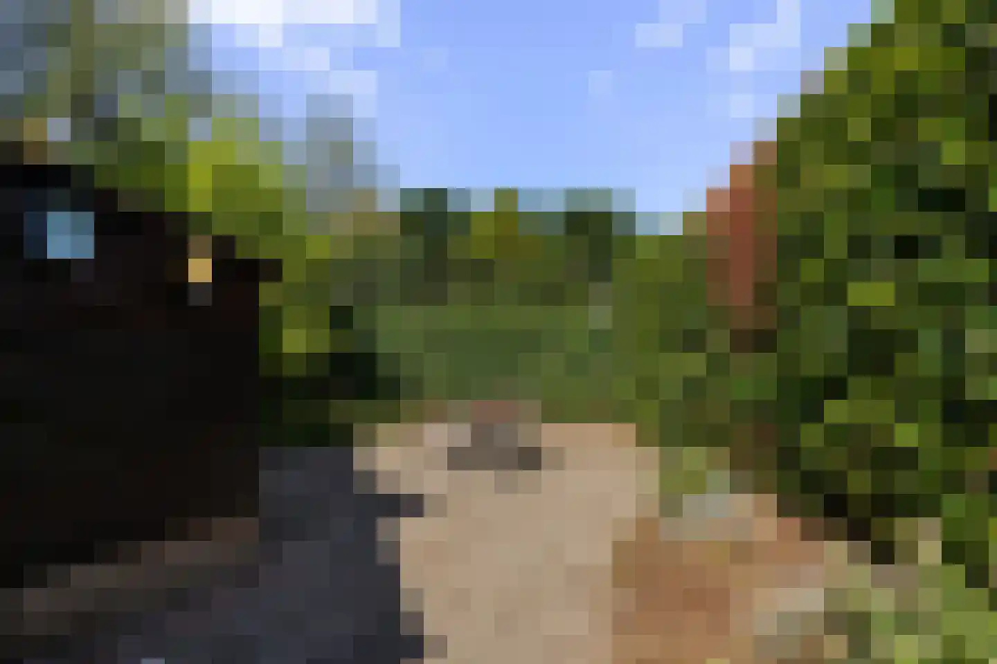 Hunze 2 Tilburg thumbnail 47