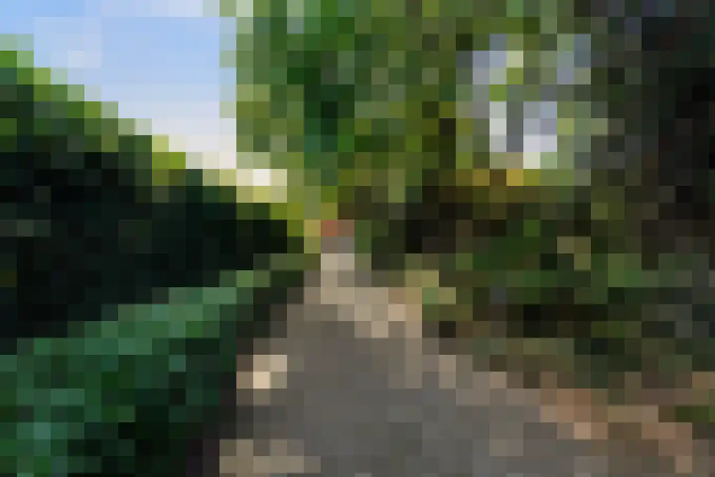 Hunze 2 Tilburg thumbnail 5