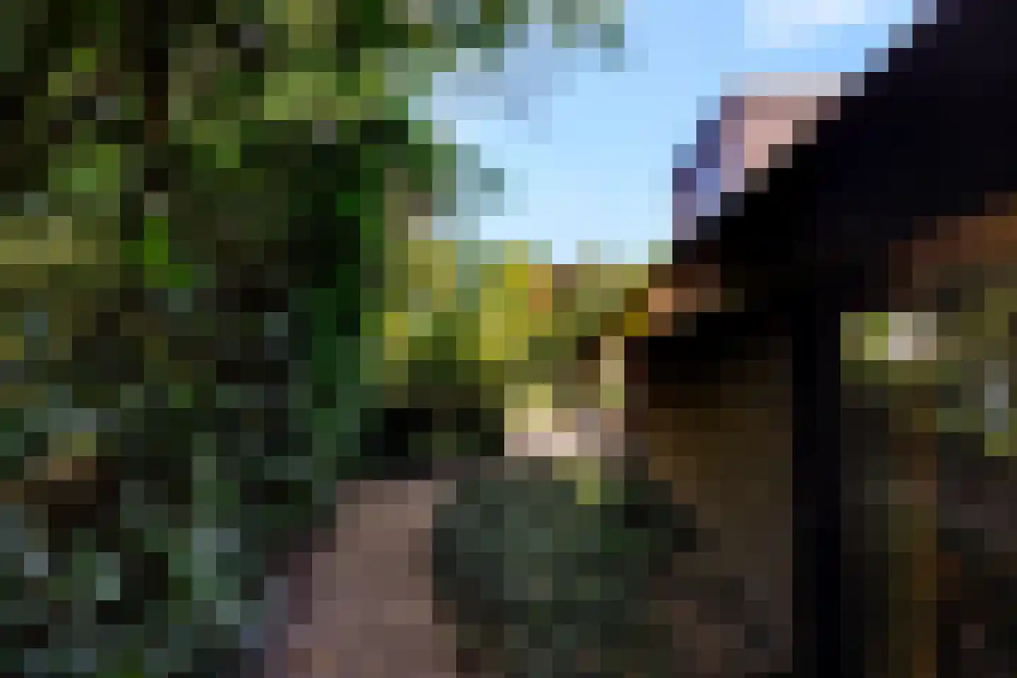 Hunze 2 Tilburg thumbnail 52