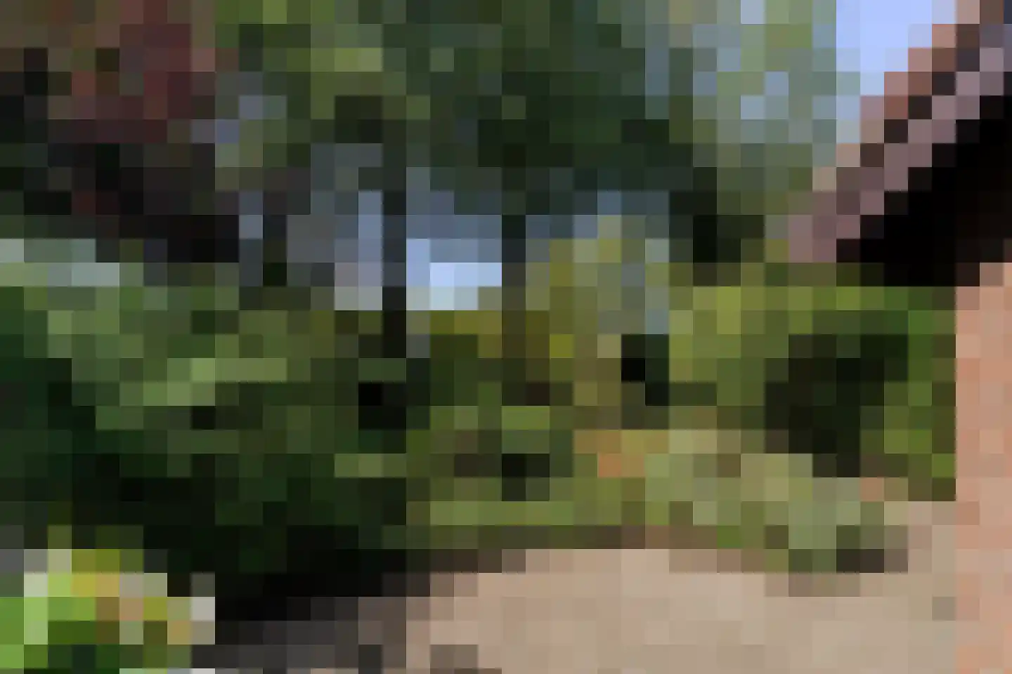 Hunze 2 Tilburg thumbnail 6