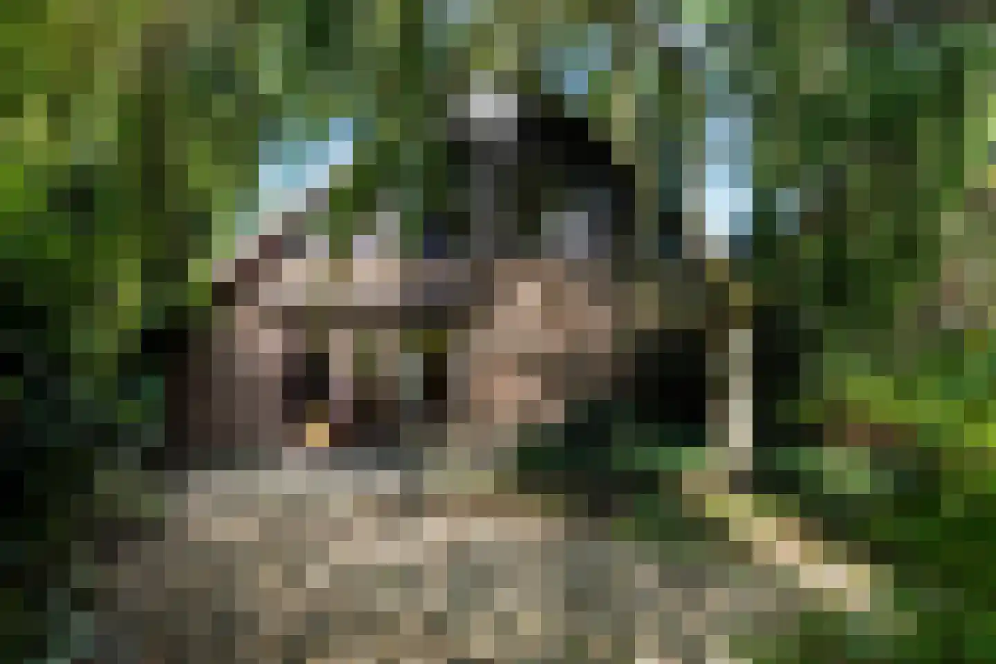 Hunze 2 Tilburg thumbnail 7