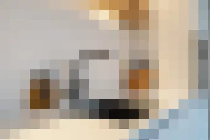 Hunze 20 Assen thumbnail 12