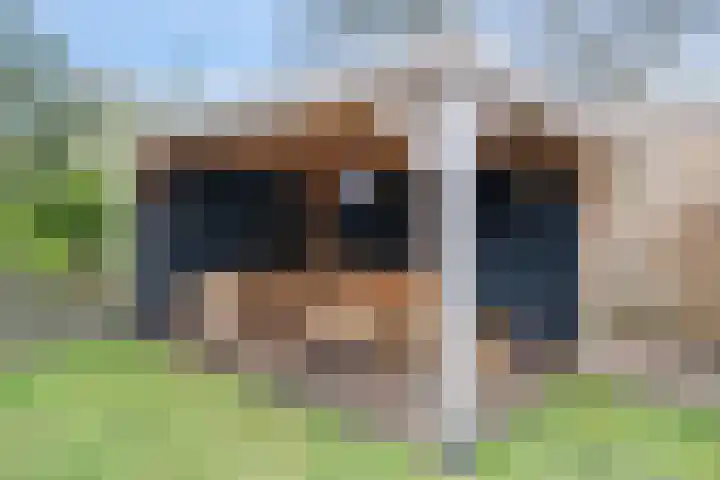 Hunze 20 Assen thumbnail 32