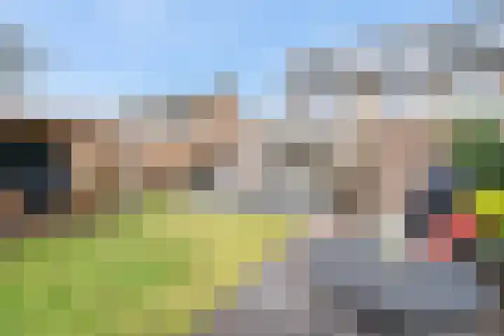 Hunze 20 Assen thumbnail 5