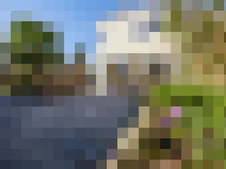 Hunze 28 Drachten thumbnail 6
