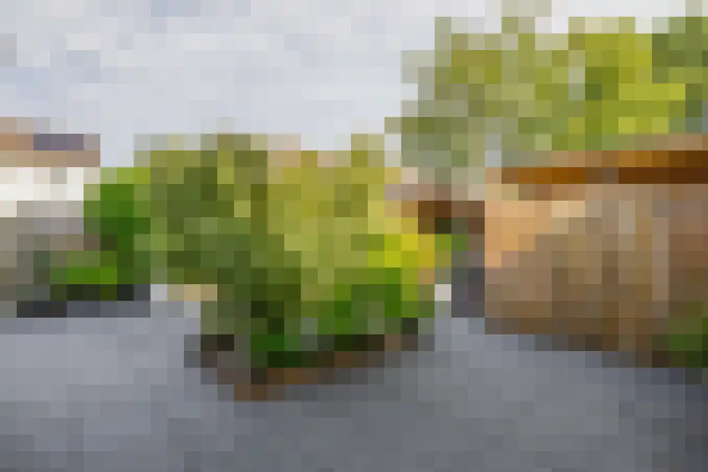 Hunze 30 Drachten thumbnail 28