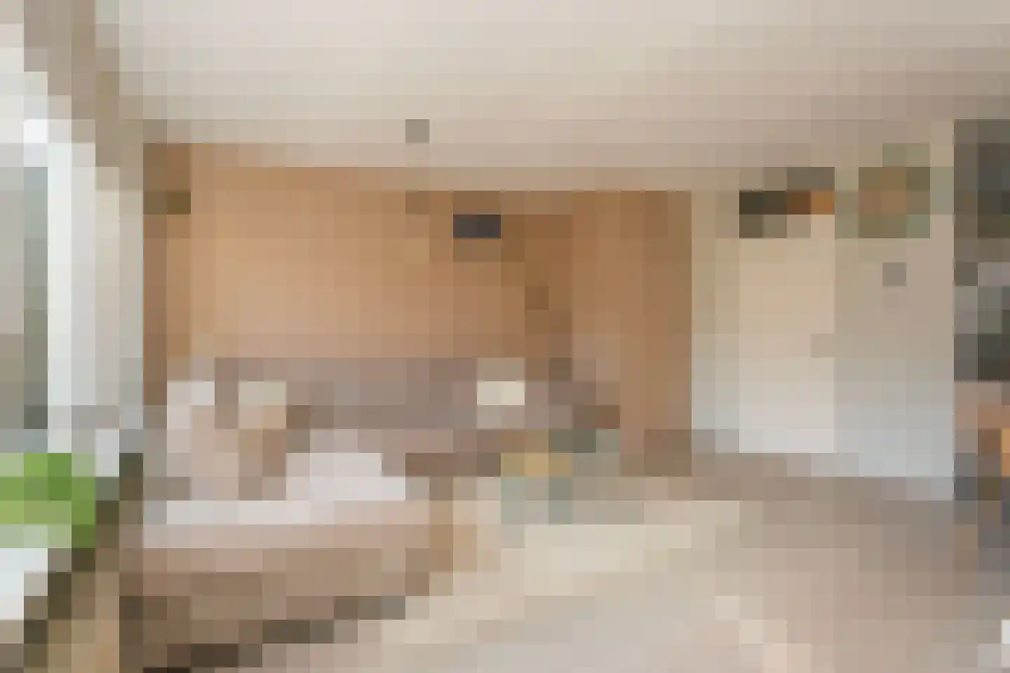 Hunze 39 Wijk bij Duurstede thumbnail 10