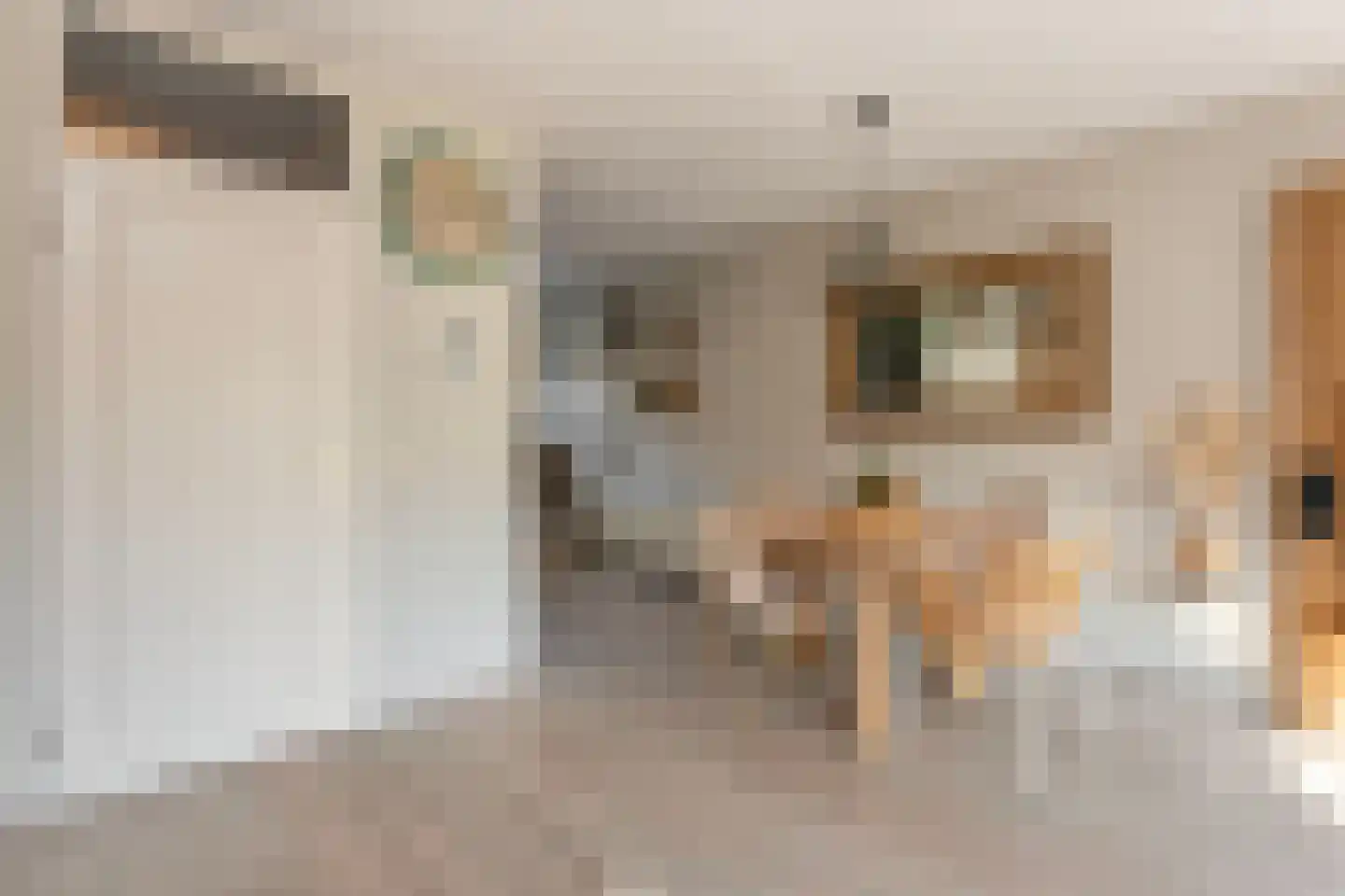 Hunze 39 Wijk bij Duurstede thumbnail 11