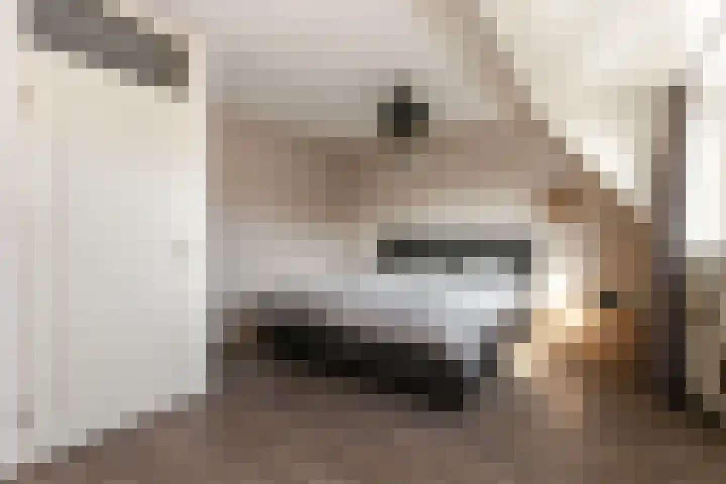 Hunze 39 Wijk bij Duurstede thumbnail 20
