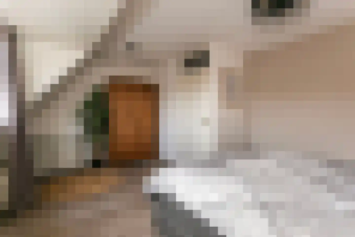 Hunze 39 Wijk bij Duurstede thumbnail 22