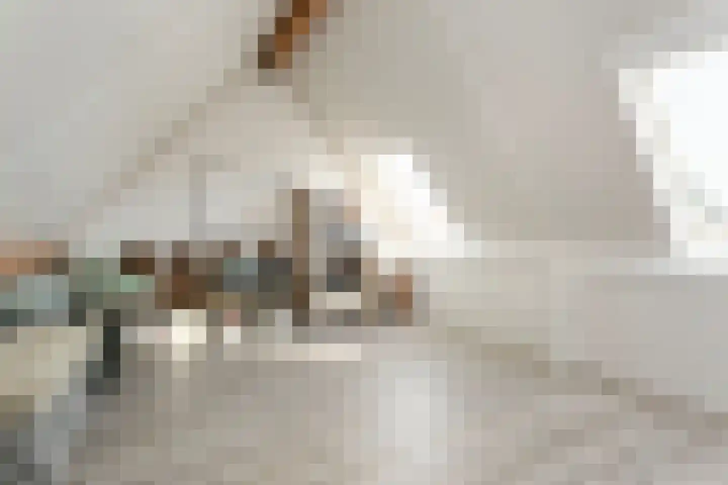 Hunze 39 Wijk bij Duurstede thumbnail 29