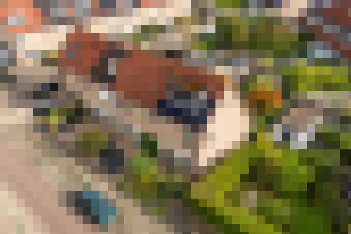 Hunze 39 Wijk bij Duurstede thumbnail 34