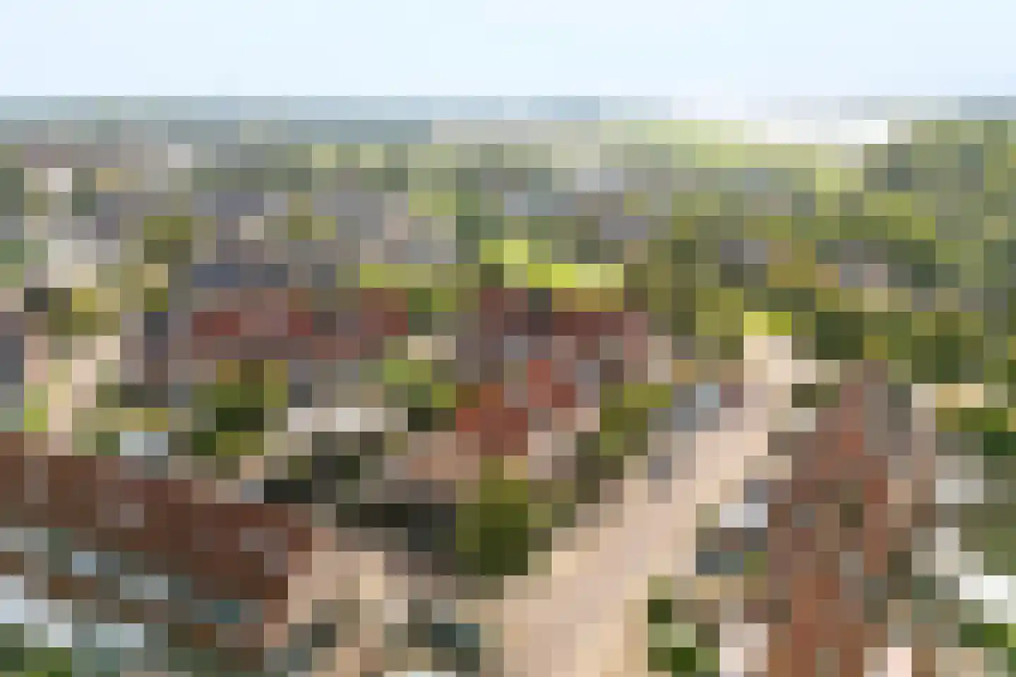 Hunze 39 Wijk bij Duurstede thumbnail 39