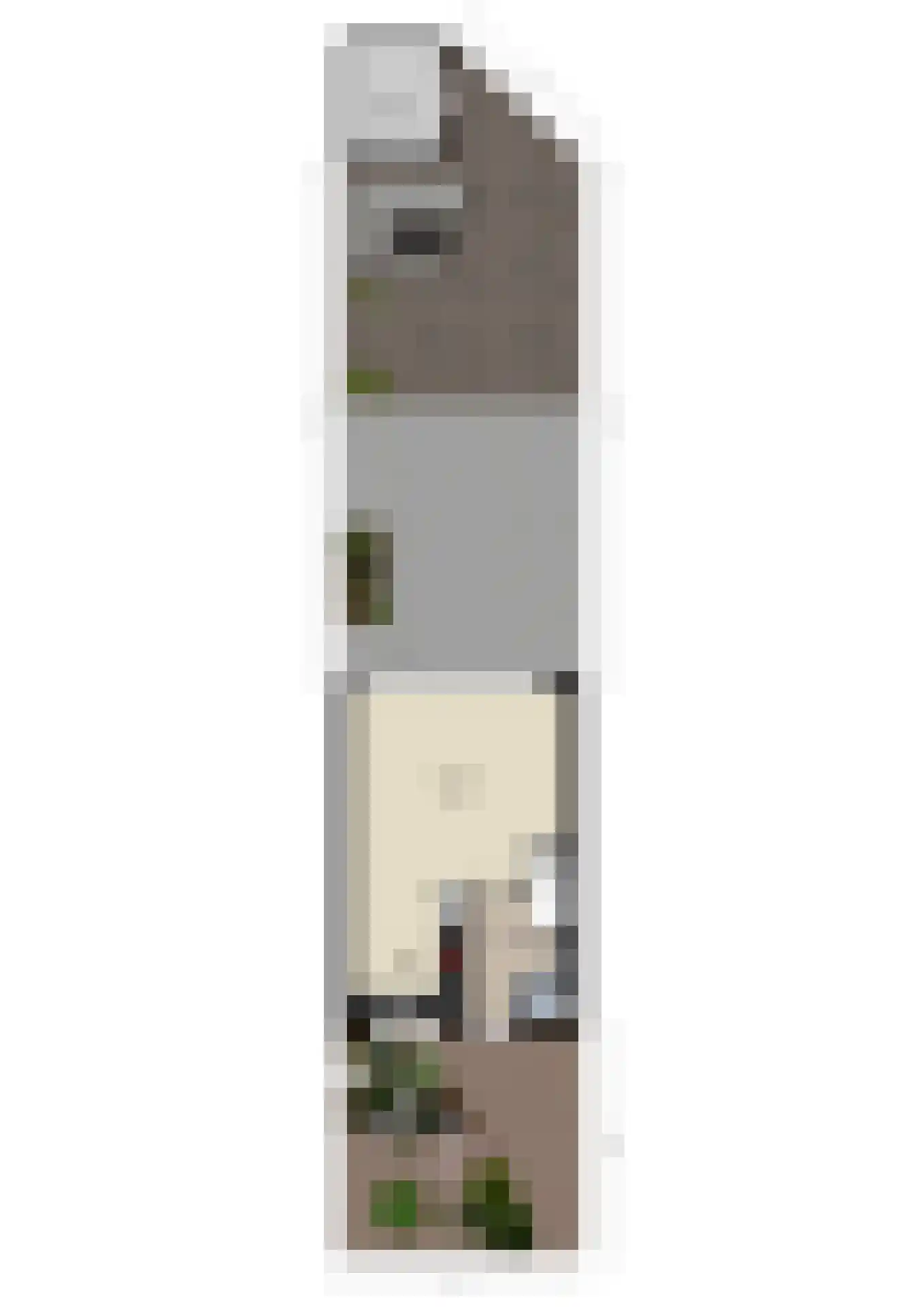 Hunze 39 Wijk bij Duurstede thumbnail 45