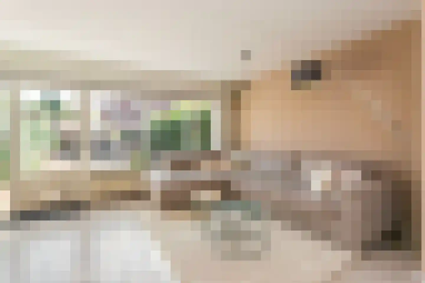 Hunze 39 Wijk bij Duurstede thumbnail 8