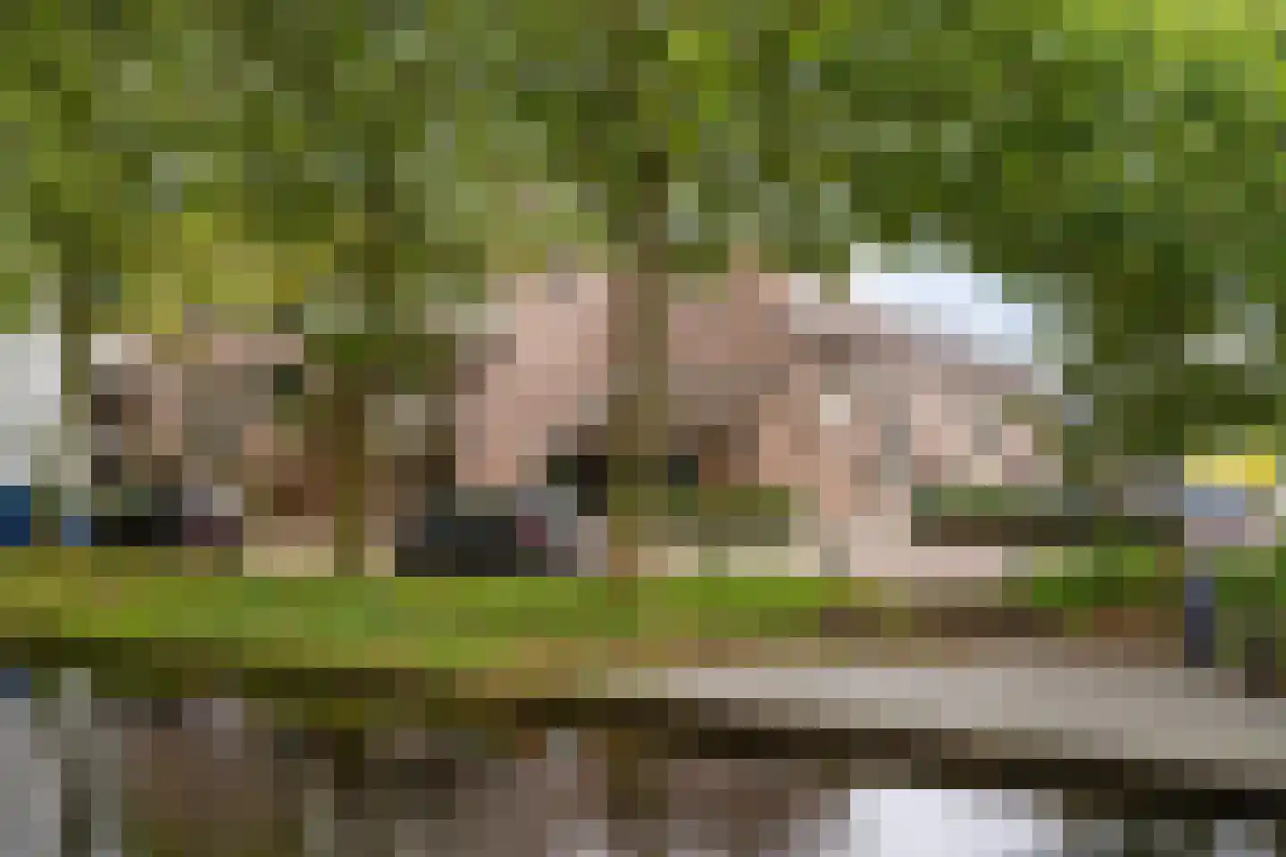 Hunze 42 Rotterdam thumbnail 13