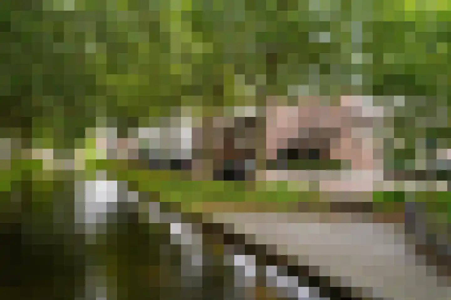 Hunze 42 Rotterdam thumbnail 15