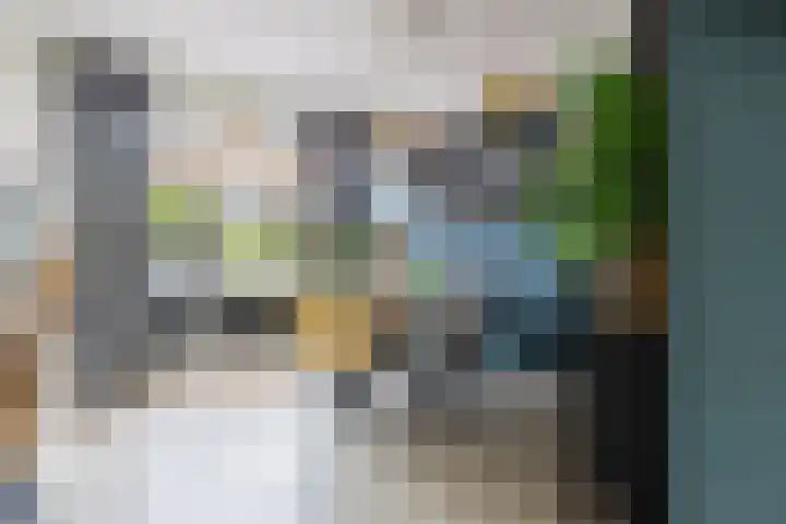 Hunze 47 Drachten thumbnail 12