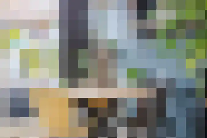 Hunze 47 Drachten thumbnail 13