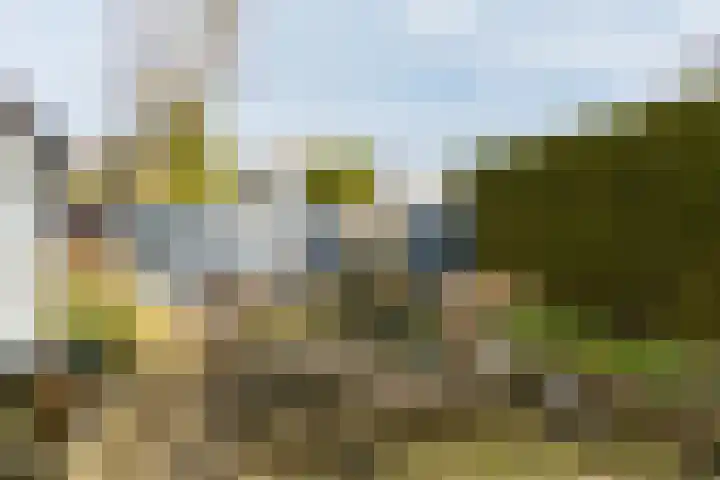 Hunze 47 Drachten thumbnail 38